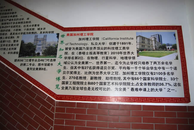 洛陽東方外國語學(xué)校，校園文化走廊1