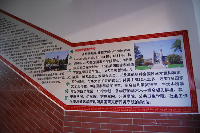 洛陽東方外國語學(xué)校，校園文化走廊1