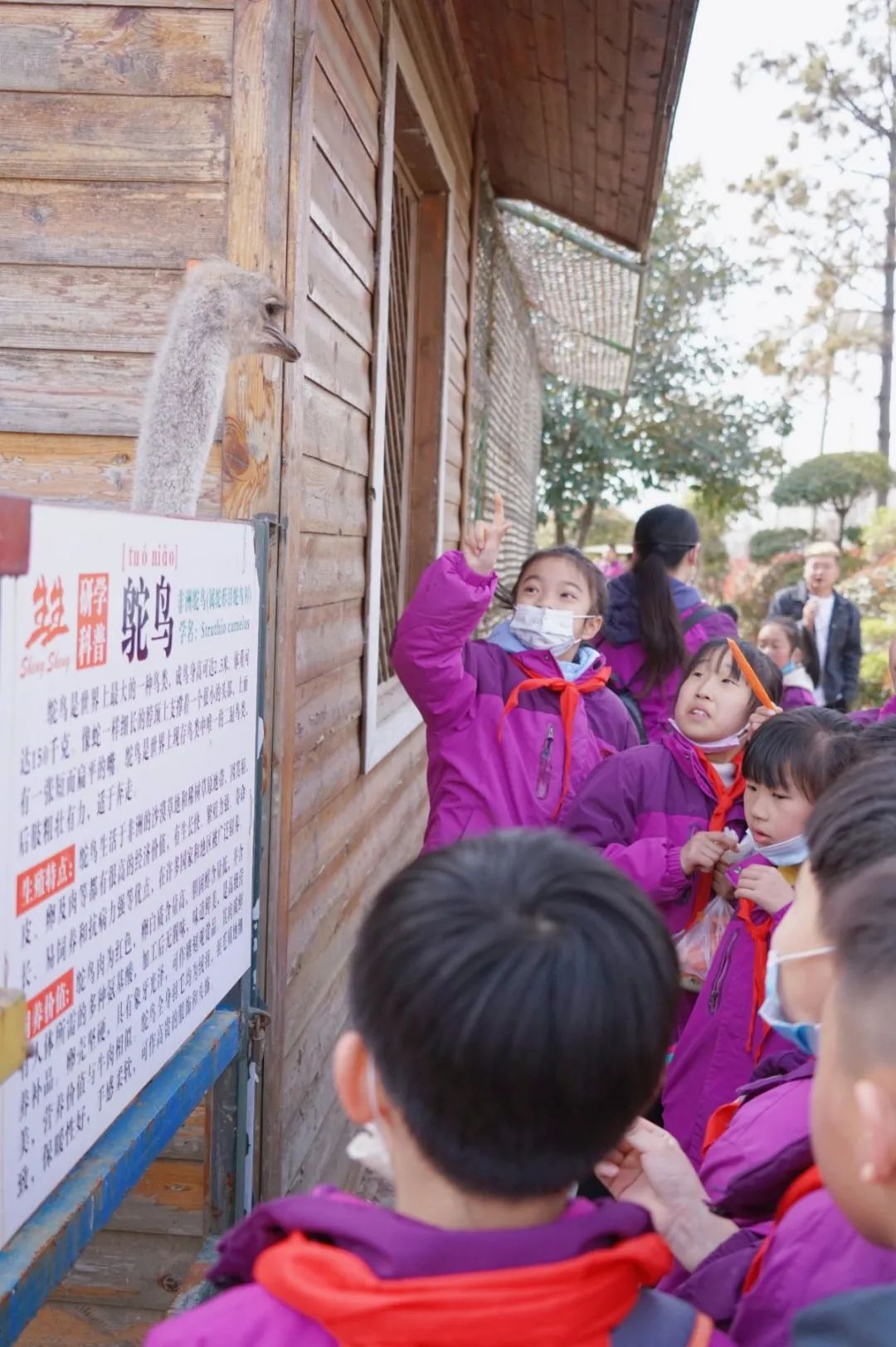 遇見春天 感受牧場生命能量—洛陽東外小學部研學系列活動(二)